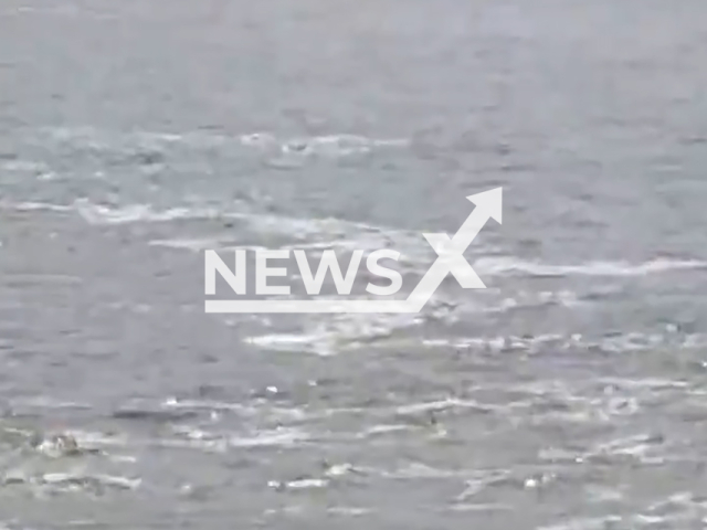 Speedboat crew members jumped into the sea to escape collision with ship in Santos, Brazil, Saturday, Dec. 7, 2024. The crew members were rescued by other vessels that were nearby. Note: Photo is a screenshot from a video. (NF/newsX)