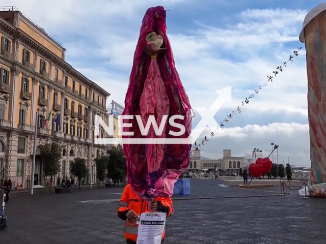 Picture shows the vagina artwork in Naples, Italy, undated. It is created by the artist Cristina Donati Meyer. Note: Image is a screenshot from video. (NF/newsX)