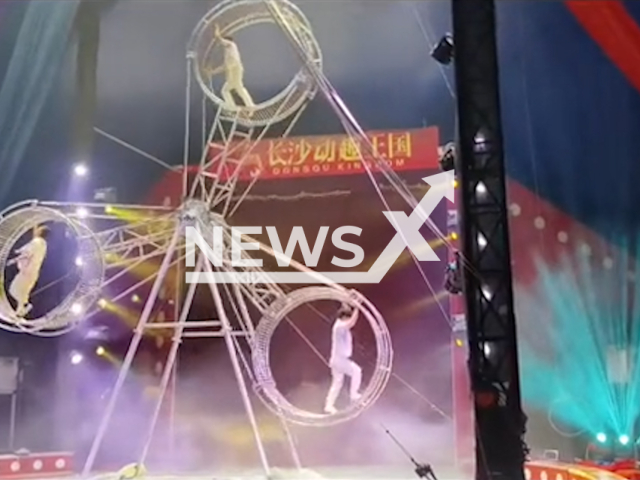 Footage captures three circus performers executing stunts like handstands and tumbles on rotating flywheels where one performer tragically fell, struck another flywheel mid-descent, and landed on the ground in Changsha Kingdom, Hunan, China, undated. The video was shared on Douyin - the Chinese version of TikTok on Dec. 16, 2024.
Note: Photo is a screenshot from a video. (AWR/newsX)