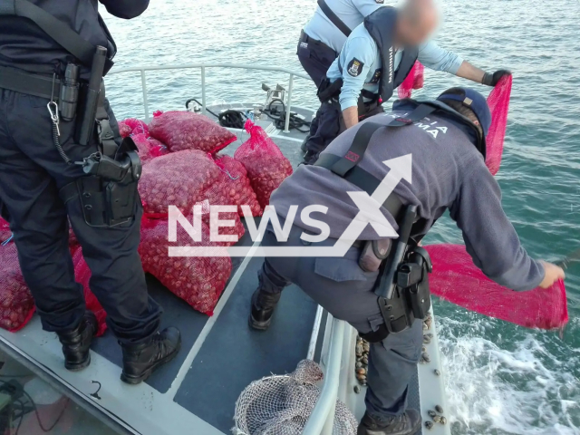 Image shows the contaminated seafood, undated photo. It was seized by authorities in Portugal, Spain and France. Note: Licensed content. (Europol/NF/newsX)