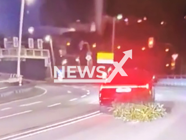 Image shows a vehicle dragging a four-metre-long Christmas tree on a motorway, undated photo. It took place in Siegen, North Rhine-Westphalia State, Germany, on Wednesday, Dec. 18, 2024. Note: Photo is a screenshot from a video. (Siegen-Wittgenstein Police/NF/newsX)