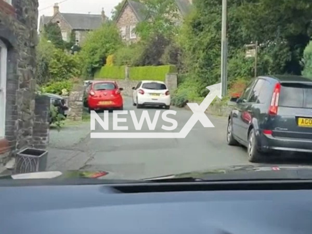 American woman shares her terrifying experience of driving in the United Kingdom. Note: Photo is a screenshot from the video (@fabandquirky/Newsflash)