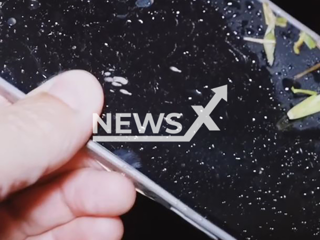 Skydiver Daniel Cajal recovers his phone which fell from 4,000 meters during a parachute jump in Tijucas, Brazil, undated. The device worker perfectly 36h later. Note: Photo a is screenshot from a video(@daniel_cajal/NF/newsX)