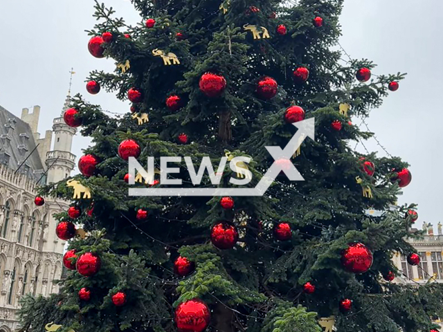 Illustrative image shows a Christmas tree, undated. Note: Image is a screenshot from video. (NF/newsX)