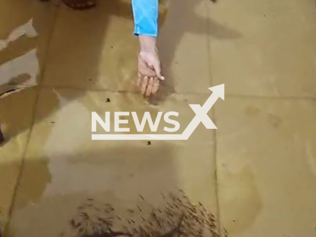 Video shows fish inside a flooded house in Cocalinho, Brazil, Sunday, Jan. 19, 2025. The scene was recorded by fisherman Eduardo Martins Lopes, 38. Note: Photo a is screenshot from a video(@guiadudupiraiba/Newsflash/NX)