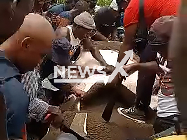 Residents slaughter an elephant in Nongoma, KwaZulu-Natal, undated. The elephant escaped from a wildlife park.  Note: Photo is a screenshot from a video. (Newsflash/NX)