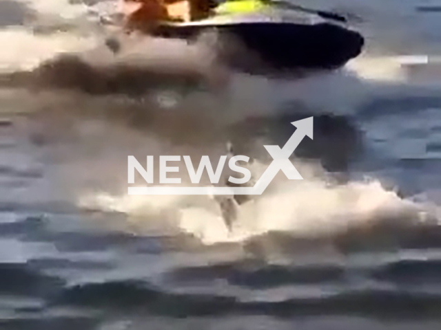 People on jet ski drive at the place where sea lions are in Mar del Plata, Argentina, undated. A witness said the animals were upset. Note: Photo is a screenshot from a video. (Newsflash/NX)