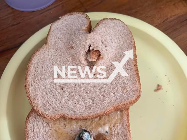 Picture shows the bullet in a bread, undated. The incident occurred in Flamengo, Rio in Brazil. Note: Private photo taken from local media. (Newsflash/NX)