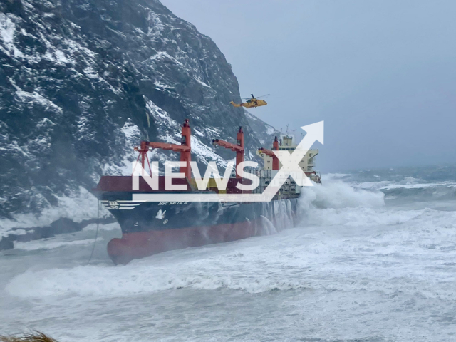 Picture shows the cargo ship MSC Baltic III located approximately 12 nautical miles outside the entrance to Bay of Islands, undated. Vessel reported a loss of power. Note: Coast Guard photo. (Canadian Coast Guard/Newsflash/NX)