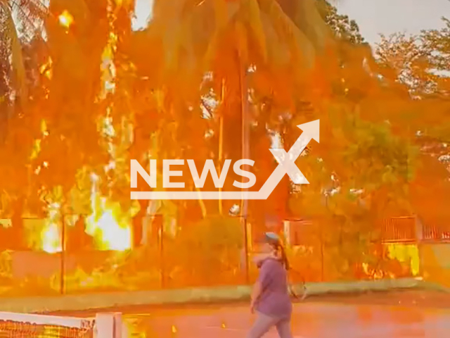 A bolt of lightning strikes a tree near a woman in Indonesia, undated. The woman was playing tennis. Note: Photo is a screenshot from a video. (@nfianas/Newsflash/NX)