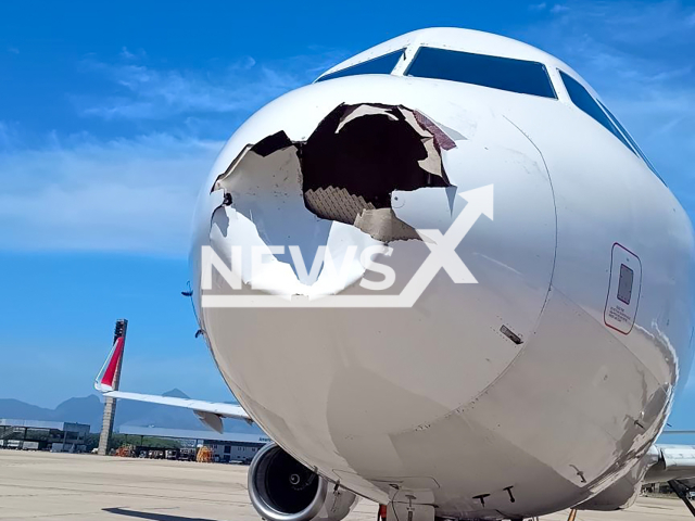 Picture shows the damaged Latam plane, undated. Its nose was destroyed by a bird. Note: Private photo taken from social media. (Jerome Cadier/Newsflash/NX)