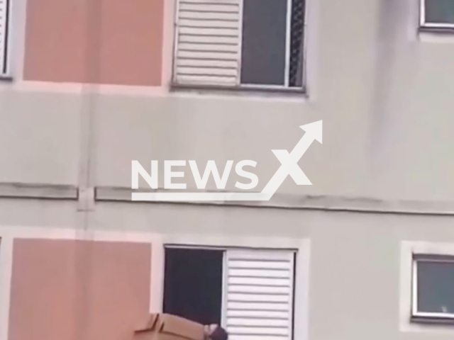 A woman saves a dog using a card box in Guarulhos, Brazil, on Feb.21, 2025. The dog was hanging from an apartment window. Note: Photo is a screenshot from a video(Newsflash/NX)