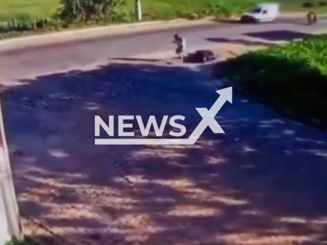 This image is a screen grab of the video supplied titled NewsX-HorsBees-01.mp4: Bees attack a motorist in Goianinha, Brazil, on Feb.24, 2025. The fire department removed the swarm.