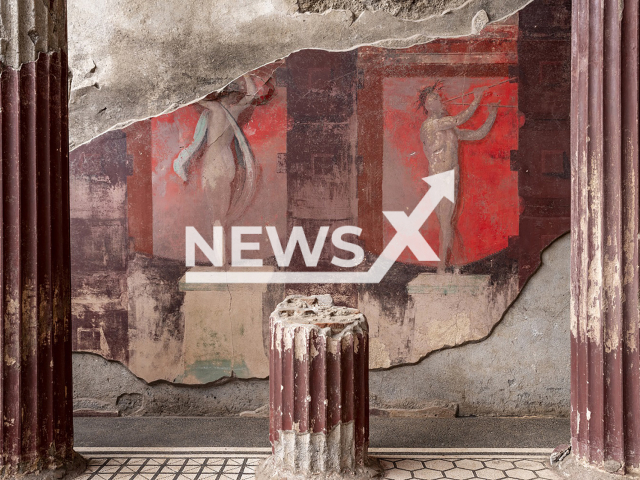 Picture shows the room with frescoes in Pompeii, undated. It depicts the procession of Dionysus. Note: Licensed photo. (POMPEII/Newsflash/NX)