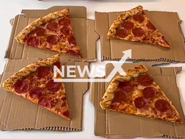 Illustrative image shows a pizza placed on a carton, undated. Note: Image is a screenshot from video. (Newsflash/NX)