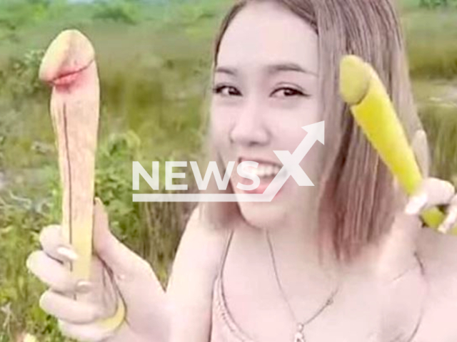 A group of women touching and picking  Nepenthes holdenii– a carnivorous plant found in Cambodia, and a protected species. Note: Private photo.  (Newsflash)