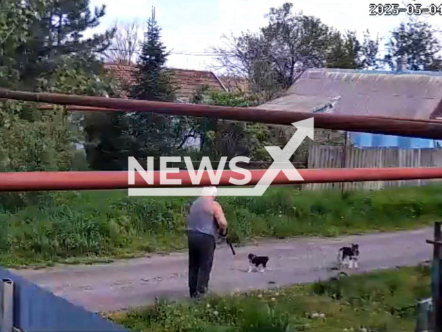 This image is a screen grab of the video supplied titled NewsX-PuppyMan-01.mp4: CCTV footage shows a 58-year-old man shooting a puppy on the street in Stavropol, Russia on Sunday, May 4, 2025.(Clipzilla/NX)