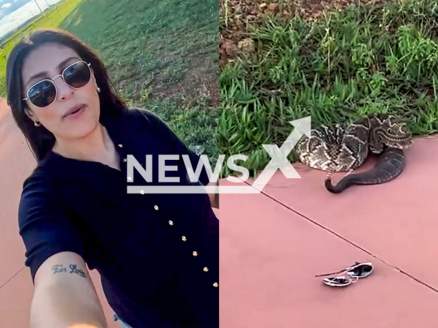 Picture shows Sany Galdino and the snake which bit her in Anapolis, Brazil, April 30, 2025. She received antivenom at hospital. Note: Photo is a screenshot from a video. (@sanyimoveis/Newsflash/NX)