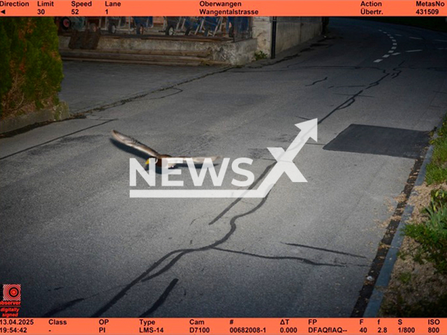 Another "speeding" duck has been caught in a speed trap in Koniz, Switzerland in mid-April, 2025. The radar device measured a speed of 52 kilometers per hour. Note: Photo from Municipality of Koniz. (Gemeinde Koniz/Newsflash/NX)