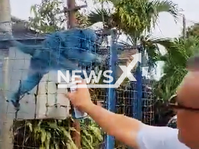 A man spray-paints a monkey in Sungai Buloh, Malaysia, undated. He was arrested. Note: Photo is a screenshot from a video. (Newsflash/NX)