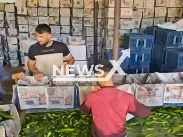 This image is a screen grab of the video supplied titled CucumberWashing-01.mp4: A worker entered the fruit and vegetable washing pool with bare feet in Adana, Turkey, undated. Footage shared on Instagram on Sunday, May 25, 2025.(Clipzilla/NX)