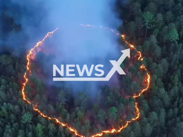 This image is a screen grab of the video supplied titled NewsX-BurningForest-01.mp4: Footage shows a giant fire 'ring' filmed by a copter in a forest in Krasnoyarsk Region, Russia on Thursday, May 22, 2025.(Clipzilla/NX)