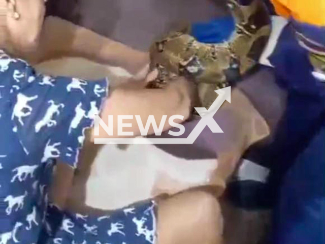 This image is a screen grab of the video supplied titled PetBoaBite-01.mp4: Footage shows rescuers helping a woman who was attacked by a 3-meter boa constrictor pet in Novorossiysk, Russia, undated. Footage shared by the head of the city's "Rescue Service" Alexey Oderov on Wednesday, May 28, 2025.(Clipzilla/NX)