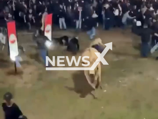 Bull escapes from rodeo arena leaving people injured in Passos, in the South of Minas Gerais, Brazil, May 30, 2025. Note: Photo is a screenshot from a video. (Newsflash/NX)