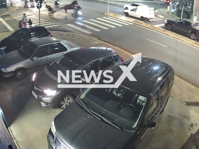 Speeding horse-drawn cart runs over motorcyclist on avenue in Americana, Brazil, June 3, 2025. No authorities were called to respond to the incident. Note: Photo is a screenshot from a video. (Newsflash/NX)