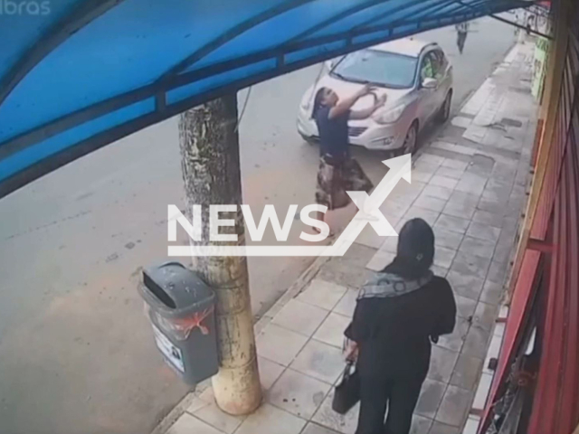 Woman saves dog that fell from building in Planaltina, Distrito Federal in Brazil, June 3, 2025. Iara de Jesus saw that the dog was going to fall from the balcony of a building and managed to catch it before it hit the ground. Note: Photo is a screenshot from a video(Newsflash/NX)