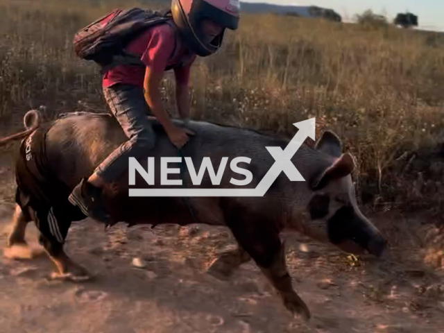 Gutinho Rocha, 9, rides animals in Girau do Ponciano, Brazil, undated. He has over 1 million followers on social media. Note: Photo is a screenshot from a video. (@gutinho_rochaofc/Newsflash/NX)