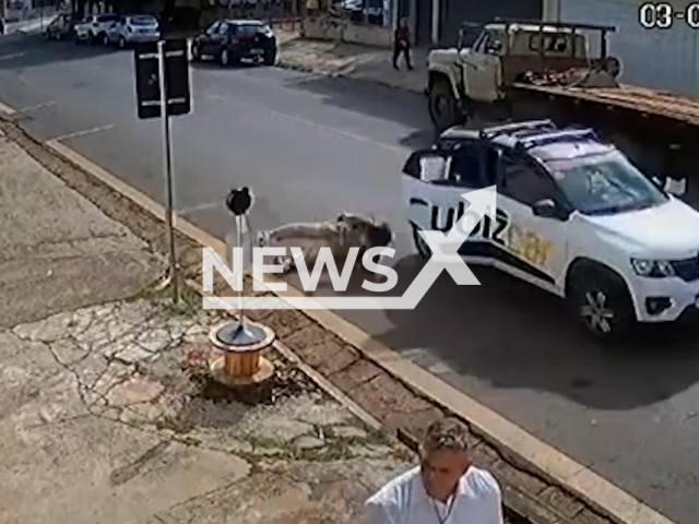 This image is a screen grab of the video supplied titled NewsX-WomsUber-01.mp4: A passenger jumps out of a moving car in Itapetininga, Sao Paulo, Brazil. The incident was reported on Jun 03, 2025.(Clipzilla/NX)