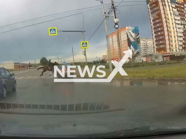 This image is a screen grab of the video supplied titled NewsX-HorseHit-01.mp4: Footage shows the rider rapidly accelerating on a horse across a zebra crossing, but the horse is hit by a car, the rider falls, and the animal runs away in Magnitogorsk, Chelyabinsk Oblast, Russia on Sunday, June 22, 2025.(Clipzilla/NX)