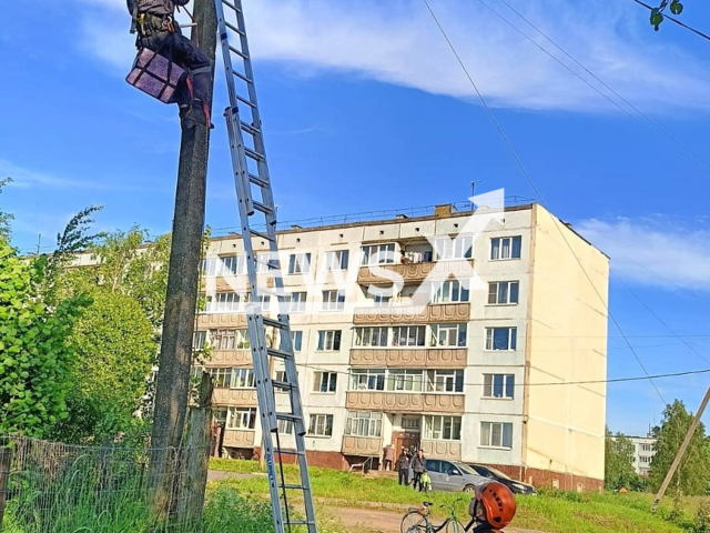 Rescuers save injured chicks from high-security nest in the village of Usadishche, Volkhovsky District, Leningrad Oblast, Russia, undated. Footage shared by CATSPAS animal rescue on Monday, June 23, 2025.
Note: Emergency organisation photo.
(Clipzilla/NX)