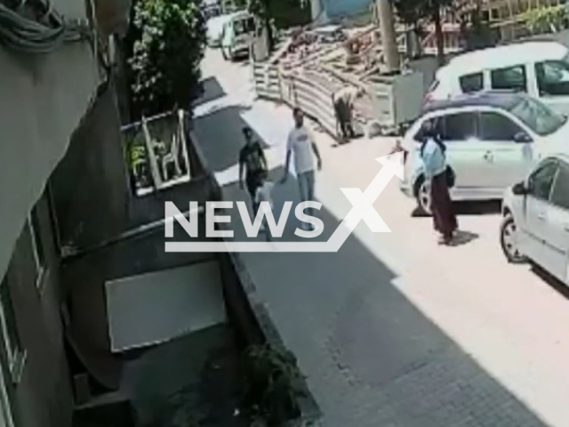 Female driver asks a passerby for help to reverse car but he demolishes wall in Darica district of Kocaeli, Turkey. As per the CCTV the incident occurred on June 21, 2025. Note: Photo is a screenshot from a video(Newsflash/NX)