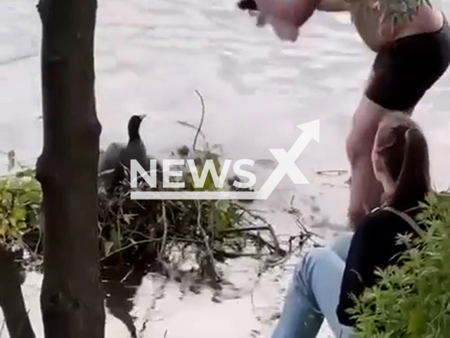 This image is a screen grab of the video supplied titled NewsX-CootNest-01.mp4: Footage shows a man harassing a pair of nesting coots in front of a child on Upper Suzdal Lake in the north of Saint Petersburg, Russia on Monday, June 23, 2025. (Clipzilla/NX)
