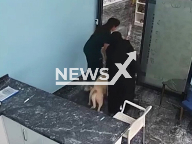 Veterinarian takes dog with serum attached out during earthquake in Gemlik district of Bursa, Turkey, July 1, 2025. Note: Photo is a screenshot from a video. (Newsflash/NX)