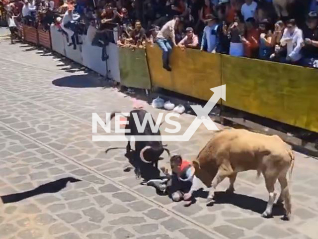 A bull gores a man in Xico, Mexico, undated. The man is said to have survived. Note: Photo is a screenshot from a video(Newsflash/NX)