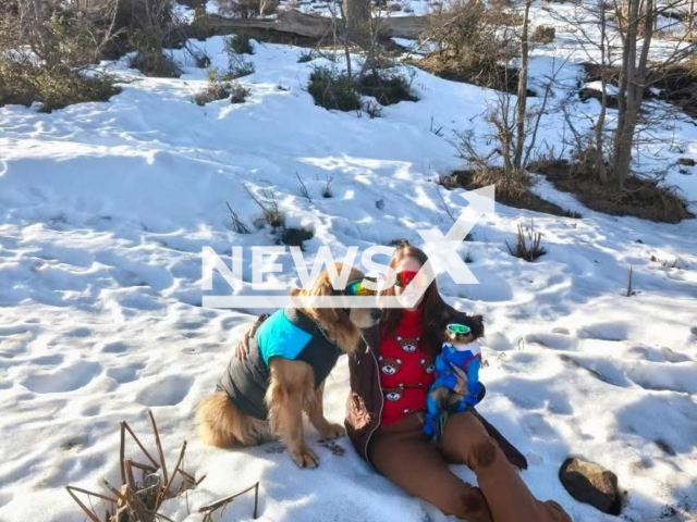 Picture shows Labibi Mello with her dogs, undated. She died in an accident in Argentina, on Jul.27, 2025. Note: Private photo taken from social media. (Newsflash/NX)