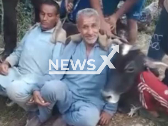 Two villagers carry a sick cow on their backs in a remote area of Sirmaur district, India, undated. They decided to take it to a hospital. Note: Photo is a screenshot from a video(Newsflash/NX)