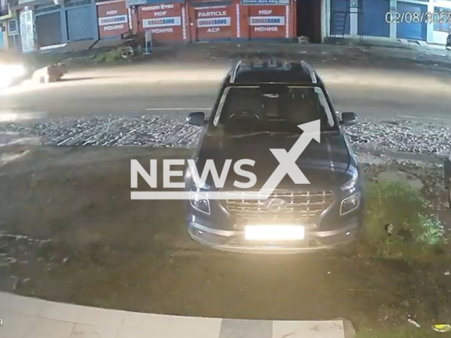A speeding car rams a bull in Bilaspur, India, on Aug.02, 2025. The animal was injured. Note: Photo is a screenshot from a video(Newsflash/NX)