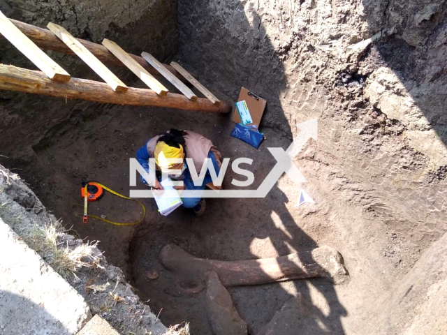 Archaeologist Ana Laura Navarro Martinez, assigned to the INAH State of Mexico Center. Note: Photo is from a press release (Centro INAH-EDOMEX/Newsflash)