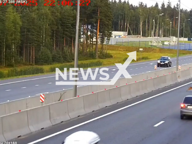 This image is a screen grab of the video supplied titled NewsX-LynxHighway-01.mp4: CCTV shows a lynx sprinting across highway near a 'Wild Animals' warning sign, forcing drivers to brake suddenly on A121 highway Leningrad Oblast, Russia, on Wednesday, July 16, 2025.(Clipzilla/NX)