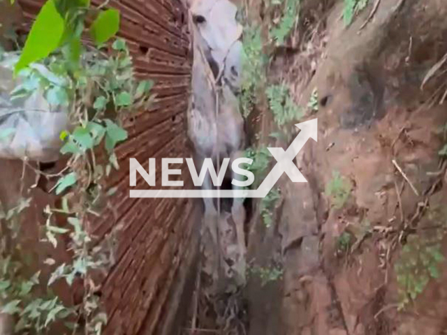 This image is a screen grab of the video supplied titled NewsX-LuckyMules-01.mp4: Footage shows mare trapped between a rock and the wall of a residence after falling from a ravine about 5 meters high in Sabara, Brazil on Friday, Aug 8, 2025.(Clipzilla/NX)