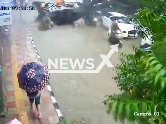 This image is a screen grab of the video supplied titled NewsX-TreeUproot-01.mp4: CCTV shows a massive tree falling on a motorcycle and vehicles killing 50-year-old man and injuring 2 other people  in Delhi, India on Thursday, Aug 14, 2025.(Clipzilla/NX)
