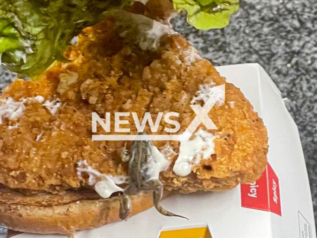 Willem Bezuidenhout allegedly found a dead frog inside a McChicken burger in Secunda, Mpumalanga in South Africa, in May 2022.
Note: Private photo(@willem.bezuidenhout.18/Newsflash).