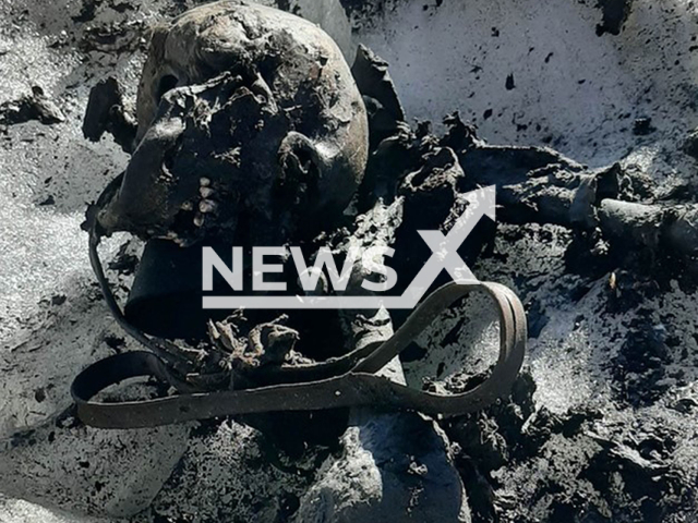 Remains of WWI soldier found in the Lares glacier in Trentino, Italy. The discovery was published on Monday, 25 August 2025. Note: Private photo. (Newsflash/NX)