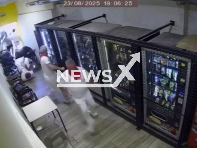 Runaway heifer invades store in Melida, Spain, on Saturday, 23 August. There were no injuries. Note: Photo is a screenshot from a video. (Newsflash/NX)