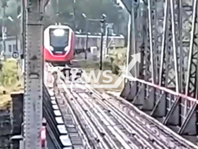 This image is a screen grab of the video supplied titled NewsX-RailCow-01.mp4: Footage shows cow on the rails preventing the train to pass in Sosnovy Bor, Leningrad Oblast, Russia on Wednesday, Aug 27, 2025.(Clipzilla/NX)