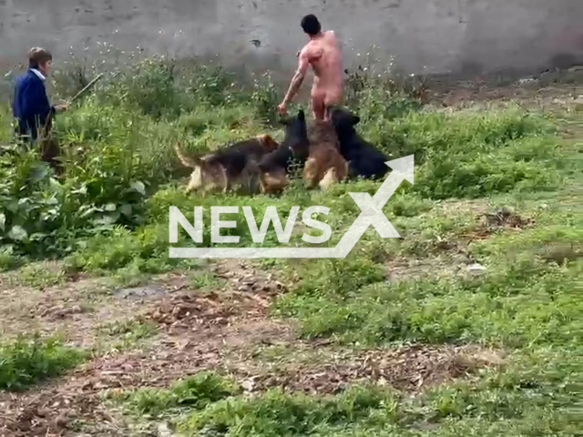 Pack of dogs attack a man in the city of Yerba Buena, in the province of Tucuman, Argentina, Sep. 2, 2025. The woman tried to restrain her dogs. Note: Photo is a screenshot from a video. (Newsflash/NX)